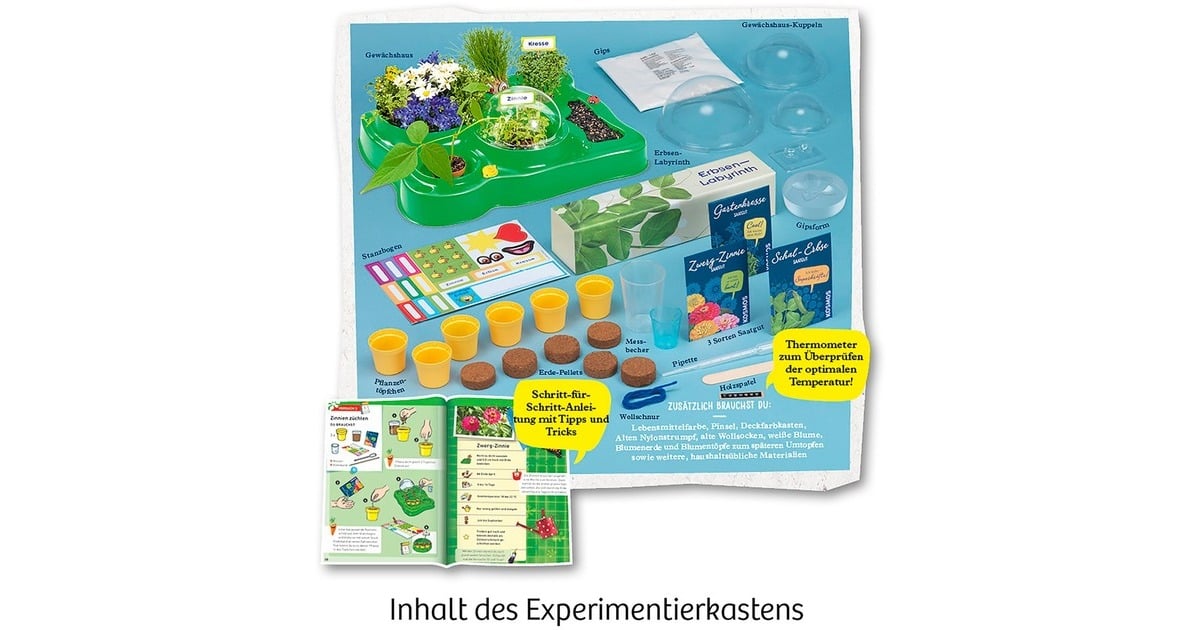 Kosmos 637255 Living Planet, CREA Tu Propia Mini Tierra