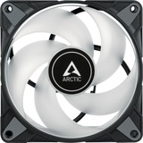 ARCTIC P12 PWM PST RGB 0dB 120x120x25, Gehäuselüfter schwarz/transparent, 120 mm