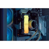 Kingston FURY DIMM 16 GB DDR5-6000  , Arbeitsspeicher weiß, KF560C32RWA-16, Renegade RGB, INTEL XMP