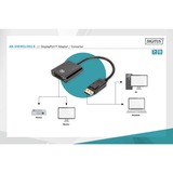 Digitus Adapter / Konverter DisplayPort > DVI schwarz, 15cm 