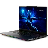 Medion ERAZER Beast 16 X1 Ultimate (MD62733), Gaming-Notebook schwarz, Intel® Core™ Ultra 9 275HX, NVIDIA GeForce RTX 5080, 32 GB DDR5, 2 TB (2 TB SSD), Windows 11 Home 64-Bit