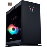 Medion ERAZER Engineer X25 (MD35307), Gaming-PC schwarz, Windows 11 Home 64-Bit