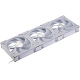 Phanteks D30-140 PWM Regular DRGB, Gehäuselüfter weiß, 3er Pack