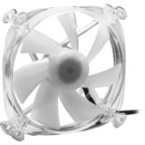 Sharkoon SHARK Disc RGB Fan, Gehäuselüfter transparent