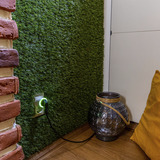 Shelly Weihnachtsbundle 1, Set 