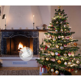 Shelly Weihnachtsbundle 1, Set 