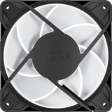 ARCTIC P12 Pro A-RGB LN, Gehäuselüfter schwarz, 3er Pack, 120 mm