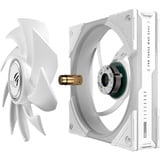 ASUS ROG Eurux GR120 ARGB, Gehäuselüfter weiß, 122 mm