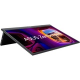 ASUS ZenScreen MB17AHG, LED-Monitor 43.9 cm (17.3 Zoll), schwarz, FullHD, IPS, USB-C, HDMI, 144Hz Panel