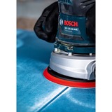 Bosch Professional Expert C470 Schleifblatt, Ø 125mm, K80 Multilochung 50 Stück, für Exzenterschleifer