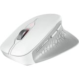 CHERRY STREAM MOUSE COMFORT, Maus weiß