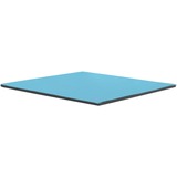 Thermal Grizzly Minus Pad Pro - 100x100x1,0 mm, Wärmeleitpads 