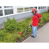 Einhell Akku-Multifunktionswerkzeug GE-HC 18Li T Kit, 18 Volt, Hochentaster rot, Li-Ion-Akku 3,0Ah