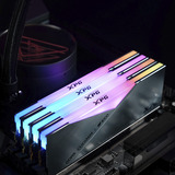 ADATA CUDIMM 48 GB DDR5-8800 (2x 24 GB) Dual-Kit, Arbeitsspeicher silber, AX5CU8800C4224G-DCLACRSG, XPG Lancer Neon RGB