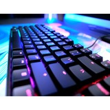 CHERRY XTRFY MX 3.1, Gaming-Tastatur schwarz, DE-Layout, Cherry MX2A Brown