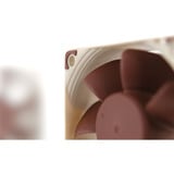 Noctua NF-A6x25 5V, Gehäuselüfter beige/braun, 60 mm
