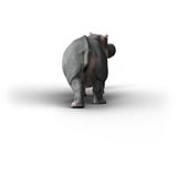 Schleich Wild Life Flusspferd, Spielfigur 