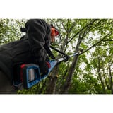 Bosch Professional Ersatz-Sägekette 25cm 1,1mm Professional für Akku-Teleskop-Hochentaster GKE 18V-25 TP Professional