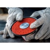 Bosch X-LOCK Expert R781 Prisma Ceramic Fiberschleifscheibe, Ø 180mm, K60 25 Stück, Bohrung 22,23mm