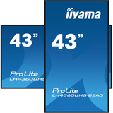 iiyama LH4360UHS-B2AG, Public Display schwarz (matt), UltraHD/4K, VA, Lautsprecher