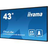 iiyama LH4360UHS-B2AG, Public Display schwarz (matt), UltraHD/4K, VA, Lautsprecher
