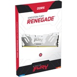 Kingston FURY DIMM 32 GB DDR5-6800 (2x 16 GB) Dual-Kit, Arbeitsspeicher weiß, KF568C36RWK2-32, Renegade, INTEL XMP