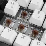 Sharkoon SKILLER SGK50 S3, Gaming-Tastatur weiß, DE-Layout, Gateron Brown