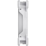 Thermaltake Riing Quad 12 RGB Radiator Fan TT Premium Edition Single Fan Pack - White, Gehäuselüfter weiß, Single Pack, ohne Controller, 120 mm