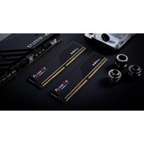 G.Skill DIMM 32 GB DDR5-6000 (2x 16 GB) Dual-Kit, Arbeitsspeicher schwarz, F5-6000J3038F16GX2-FX5, Flare X5, AMD EXPO