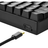 Sharkoon SKILLER SGK50 S4, Gaming-Tastatur schwarz, DE-Layout, Kailh Red