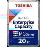 MG10 20 TB, Festplatte