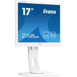 iiyama ProLite B1780SD-W1, LED-Monitor 43 cm(17 Zoll), weiß, VGA, DVI