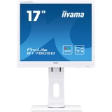 iiyama ProLite B1780SD-W1, LED-Monitor 43 cm(17 Zoll), weiß, VGA, DVI