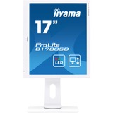 iiyama ProLite B1780SD-W1, LED-Monitor 43 cm(17 Zoll), weiß, VGA, DVI