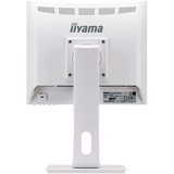 iiyama ProLite B1780SD-W1, LED-Monitor 43 cm(17 Zoll), weiß, VGA, DVI