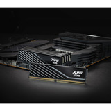 ADATA DIMM 16 GB DDR5-6000, Arbeitsspeicher schwarz, AX5U6000C3616G-SLABBK, XPG Lancer Blade, INTEL XMP, AMD EXPO