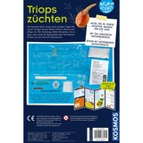 KOSMOS Fun Science Triops züchten, Experimentierkasten 