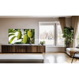 TCL 50MQLED75K Mini LED, QLED-Fernseher 125.7 cm (50 Zoll), schwarz, UltraHD/4K, Premium QD-MiniLED-TV, 144Hz Panel