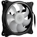 Inter-Tech Argus RS-081 RGB 120x120x25mm, Gehäuselüfter schwarz, spezifischer 6pin Anschluss: nur für Fan Set RS-08 geeignet