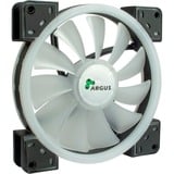 Inter-Tech Argus RS-141 RGB 140x140x25, Gehäuselüfter schwarz, 140 mm