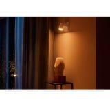 Philips HUE White & Color Ambiance Argenta Einzelspot, LED-Leuchte weiß
