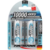 10000mAh NiMh Professional, Akku