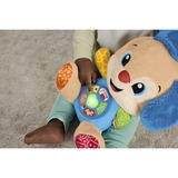 Fisher-Price Lernspaß Hündchen, Kuscheltier blau/hellbraun