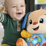 Fisher-Price Lernspaß Hündchen, Kuscheltier blau/hellbraun