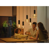 Philips HUE White & Color Ambiance Lightguide Triangle - Smarte Lampe E27, LED-Lampe 