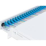 Digitus LWL-Spleißbox, bestückt, 6x LC-APC DX, OS2 grau