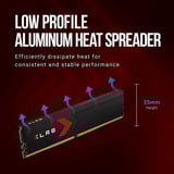 PNY DIMM 32 GB DDR5-6400 (2x 16 GB) Dual-Kit, Arbeitsspeicher schwarz, MD32GK2D5640036XR, XLR8 Gaming EPIC-X, INTEL XMP, AMD EXPO