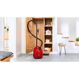 Bosch Home Serie 4 BGD38RD1H, Bodenstaubsauger rot