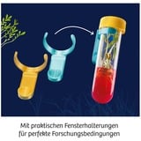 KOSMOS Fun Science Aqua-Gel-Pflanzen, Experimentierkasten 