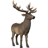 Schleich Wild Life Amerikanischer Rothirsch, Spielfigur 